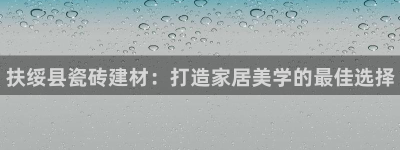 杏鑫代理注册资金多少