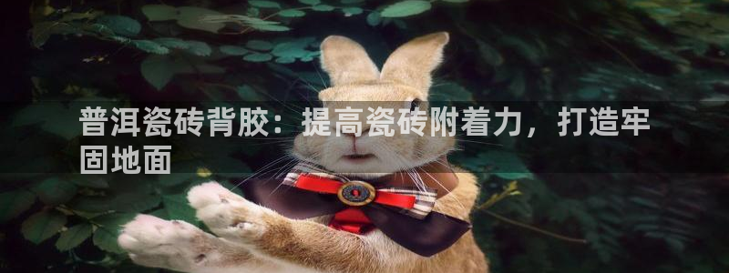 杏鑫平台注册登录