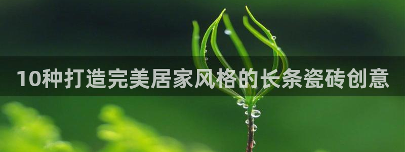 杏鑫娱乐官网登录