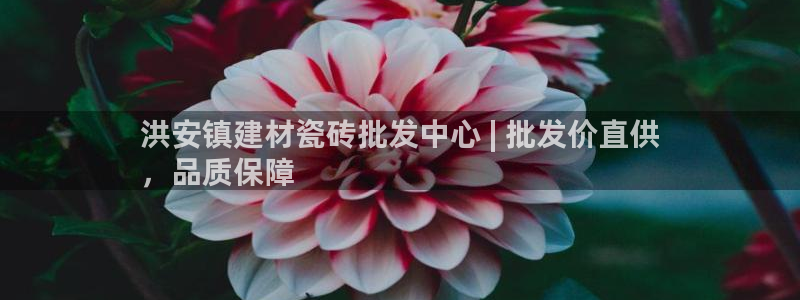 杏鑫注册平台官方网站是什么