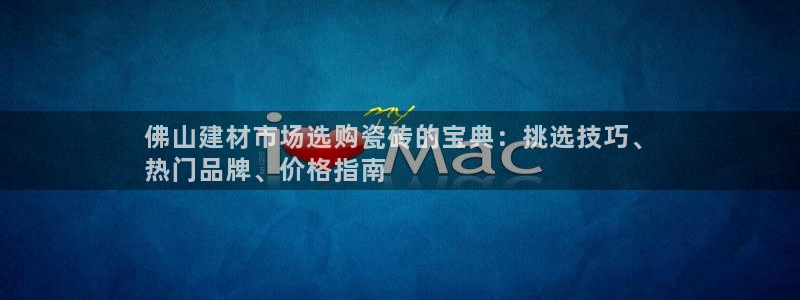 杏鑫代理注册资金多少