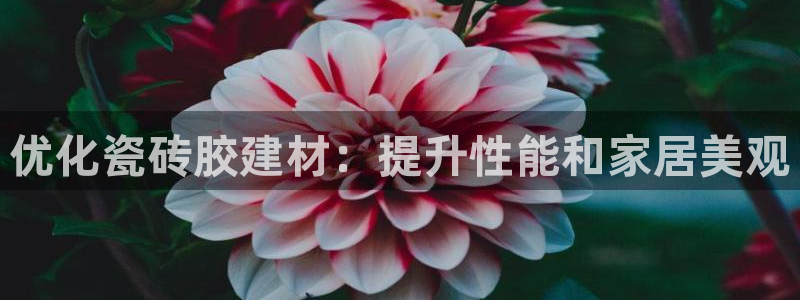 杏鑫代理注册平台