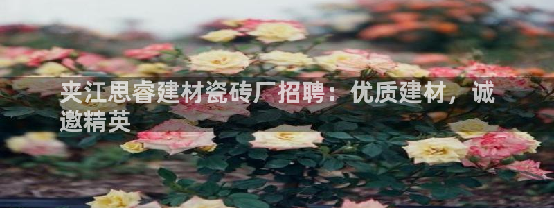 杏鑫平台注册地址是哪里