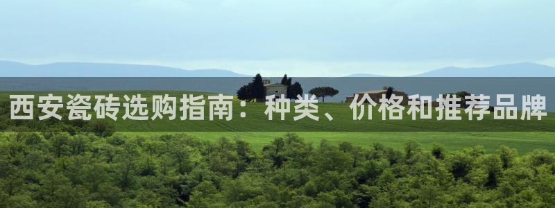 杏鑫平台注册地址