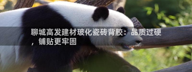 杏鑫官网注册账号密码忘了