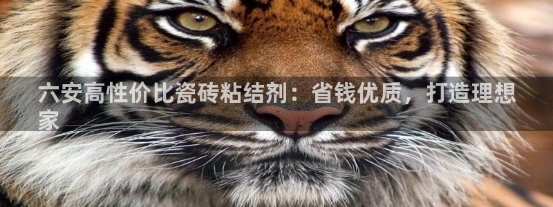 杏鑫平台代理注册登录不了怎么办呀苹果