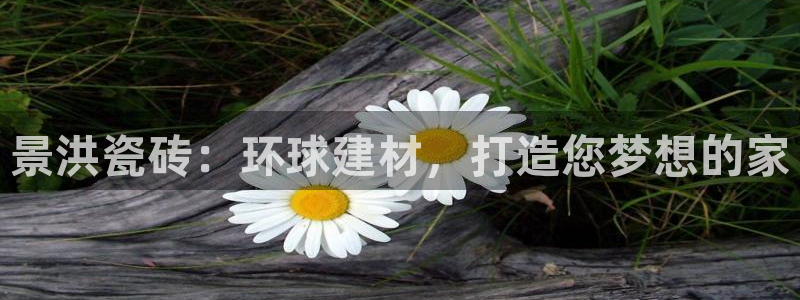 杏鑫官网注册账号密码