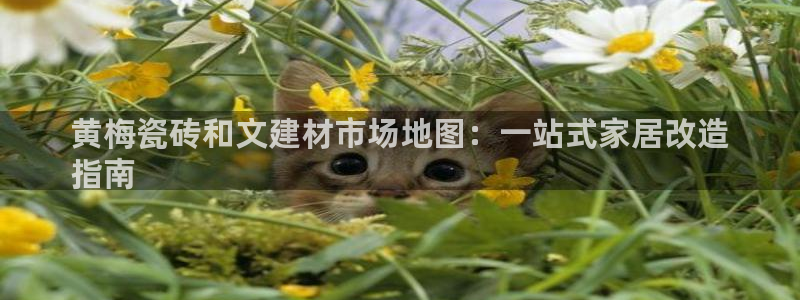 杏鑫平台代理注册多少钱