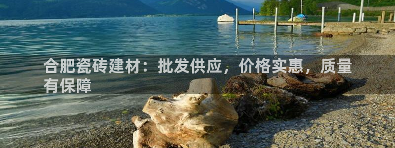 杏鑫平台代理注册流程视频