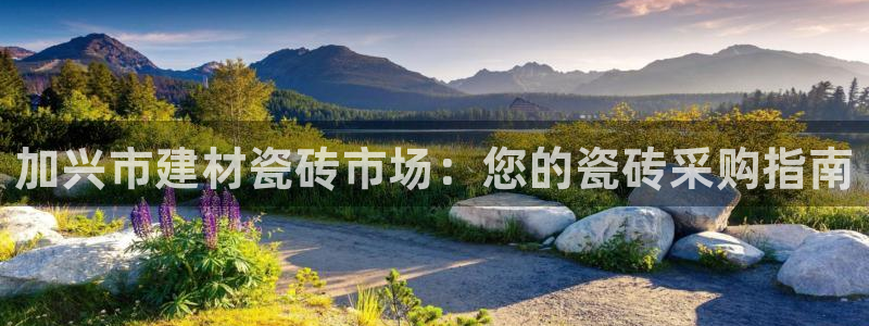 杏鑫平台注册网址