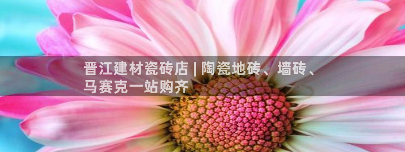 杏鑫平台代理注册流程