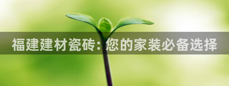 杏鑫娱乐平台登录注册网站