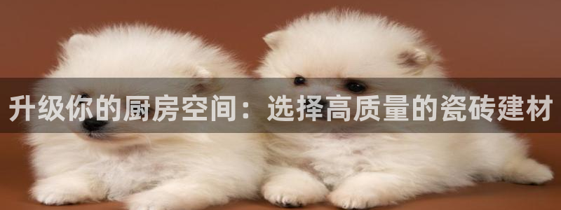 杏鑫注册登录平台是什么