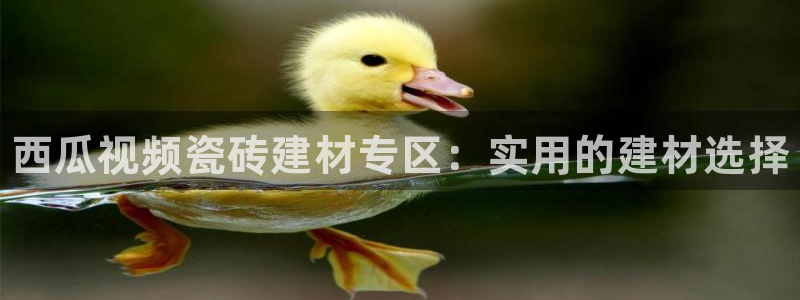 杏鑫平台怎么样黑钱吗是真的吗