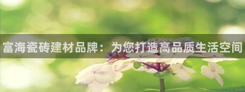 杏鑫平台注册入口在哪里找