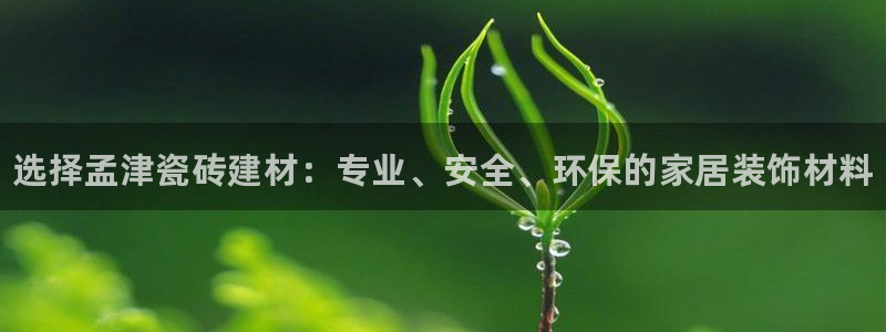 杏鑫平台代理怎么做