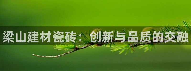 杏鑫官网注册账号密码忘了