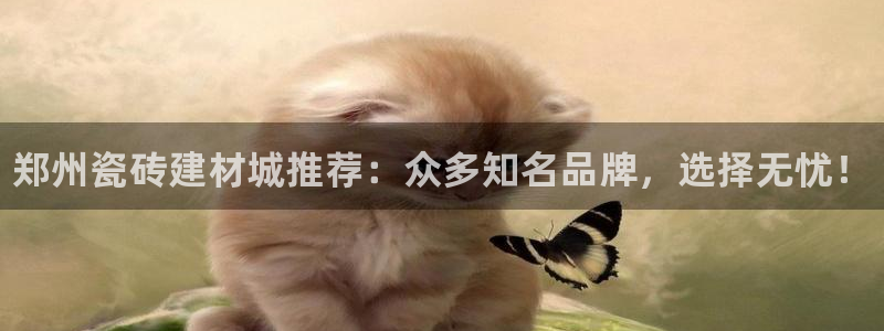 杏鑫平台念7O777