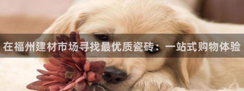 杏鑫平台注册网址是多少