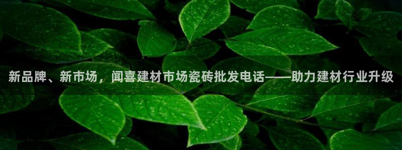 杏鑫平台注册地址在哪里