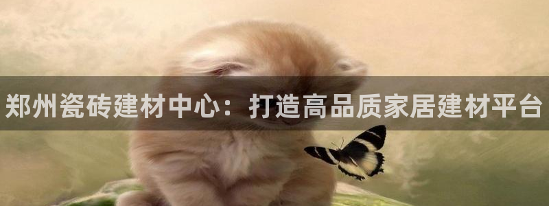 杏鑫手机客户端